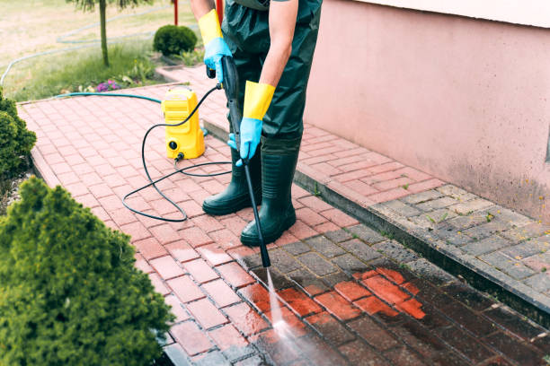 Professional Pressure washing in Lone Tree, IA